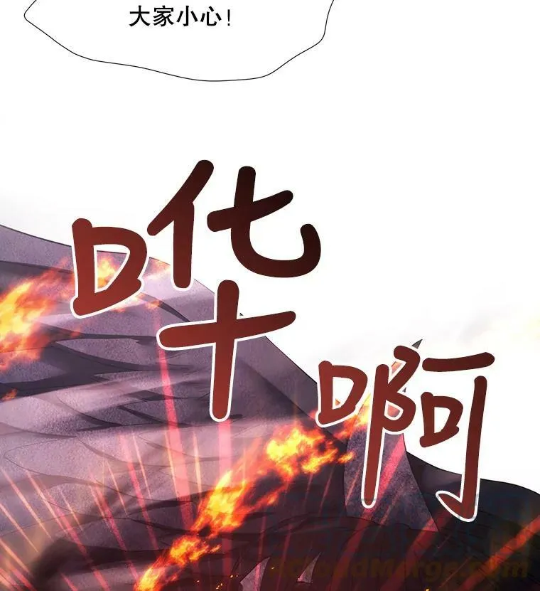 65.出现在皇城的魔兽 第25页