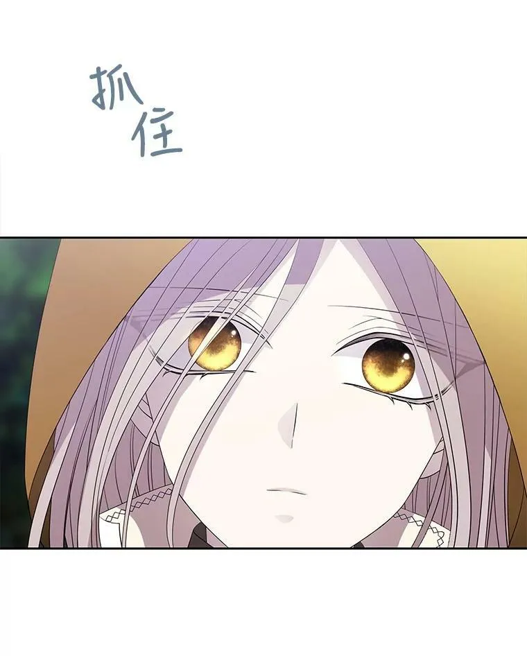 68.制伏 第66页