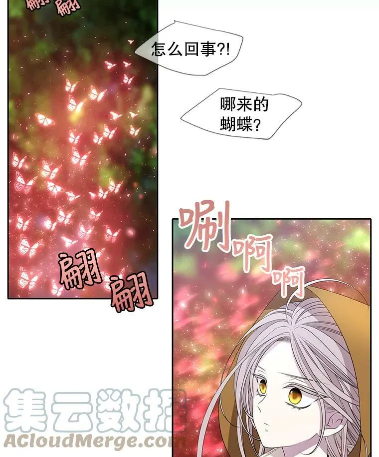 69.埃尔多现身 第7页