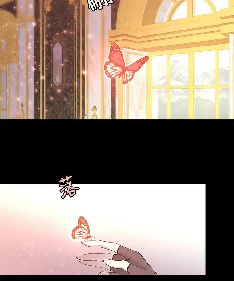 69.埃尔多现身 第14页