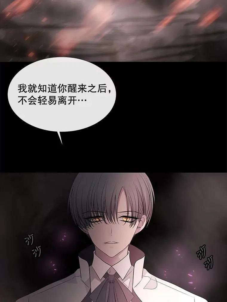 78.被改变的阵法 第29页