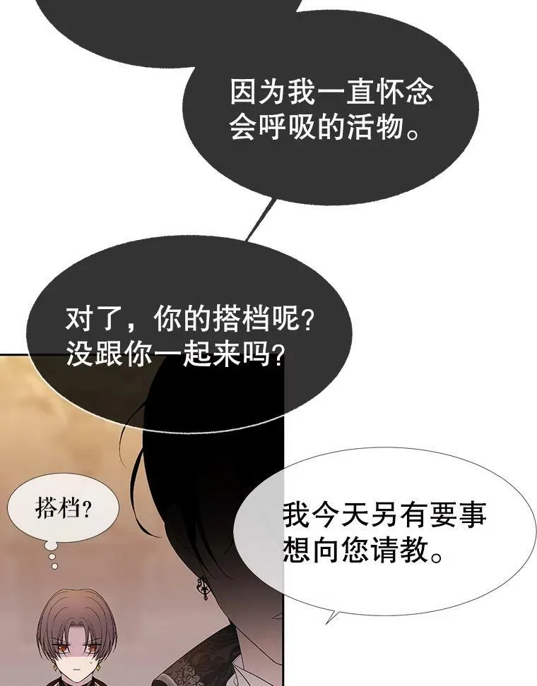 87.魔法之城 第41页