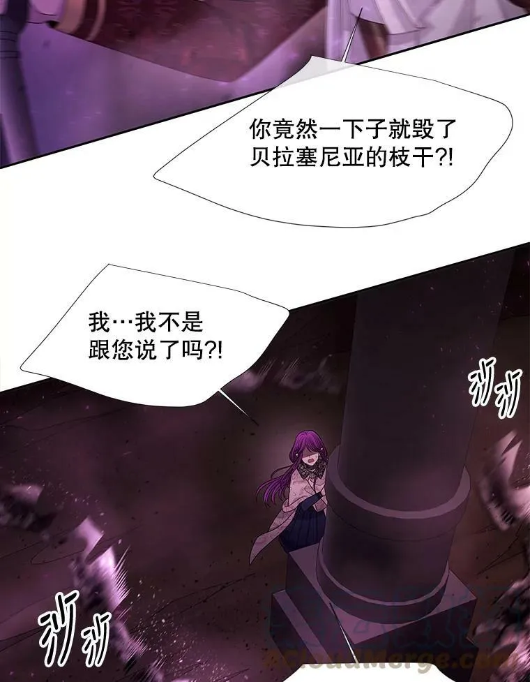 95.贝拉塞尼亚 第19页