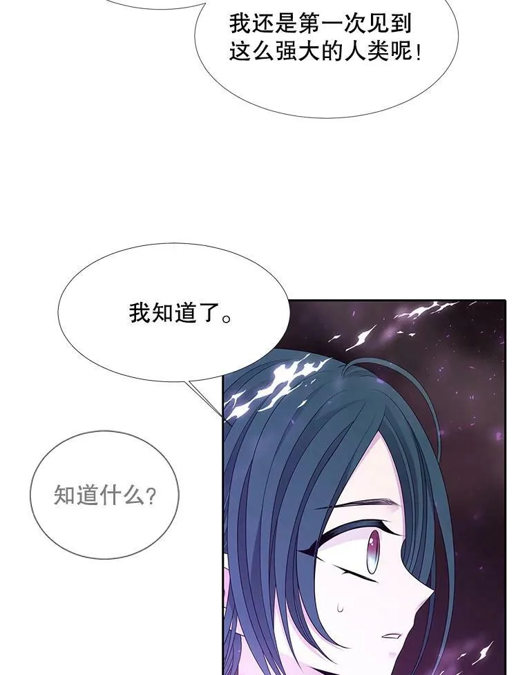 95.贝拉塞尼亚 第27页