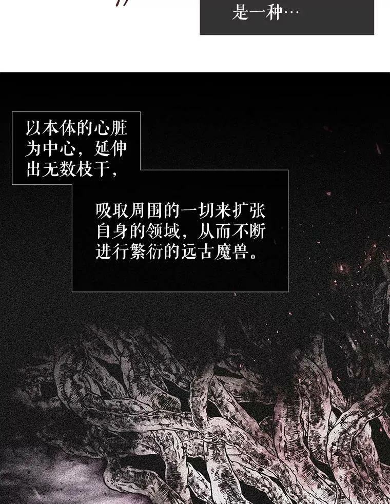 95.贝拉塞尼亚 第33页