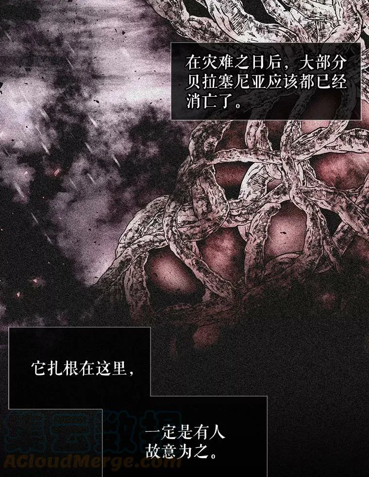95.贝拉塞尼亚 第34页
