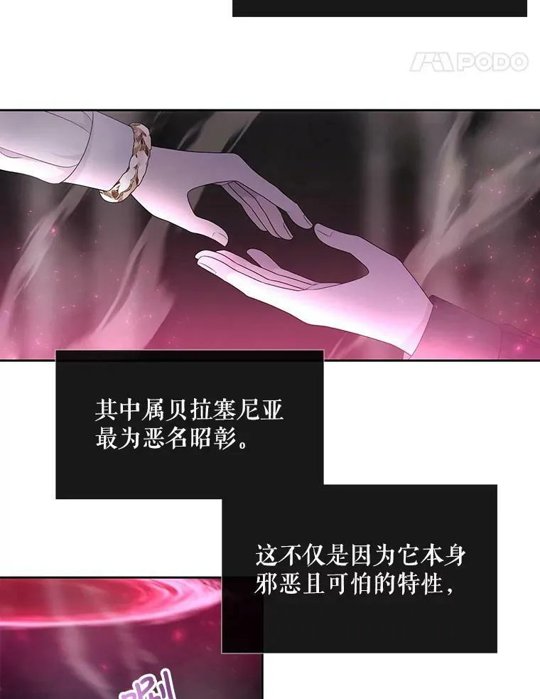 95.贝拉塞尼亚 第62页