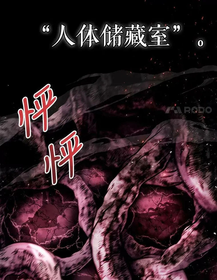 95.贝拉塞尼亚 第65页