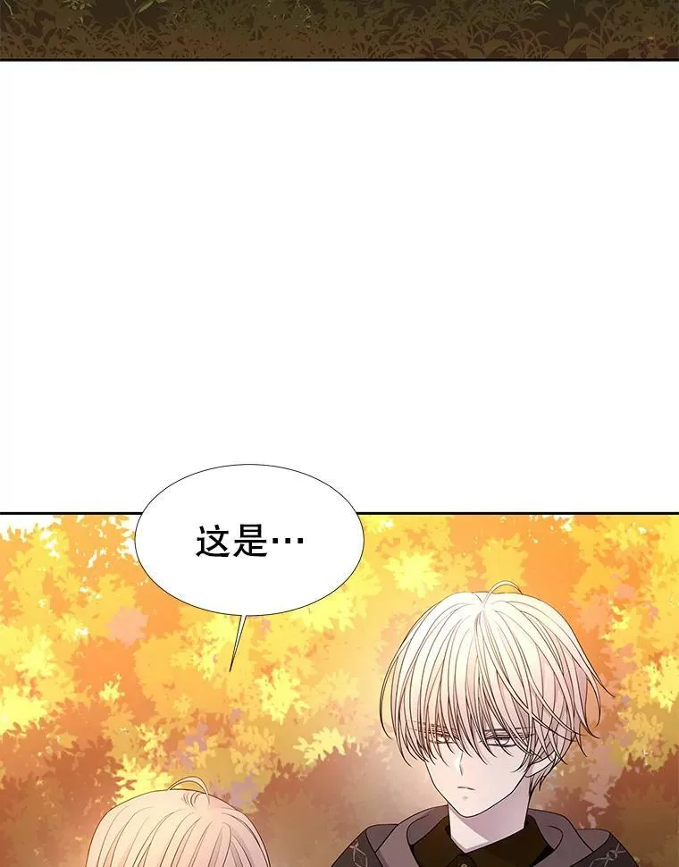 97.路易斯 第88页