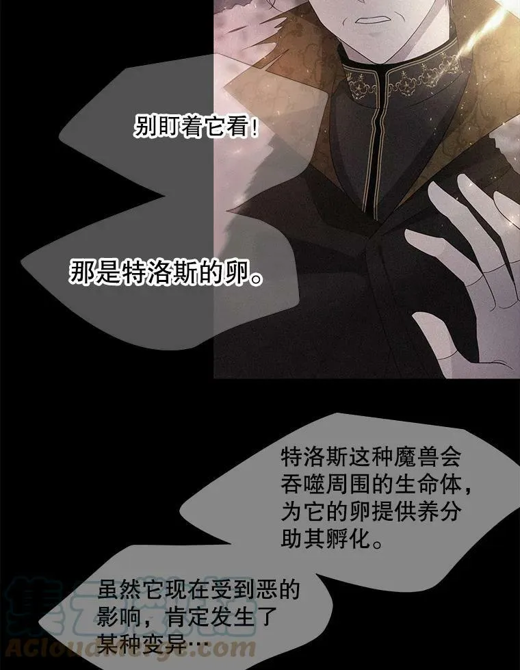 111.魔兽特洛斯 第28页