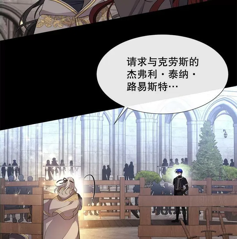 132.亮相 第17页