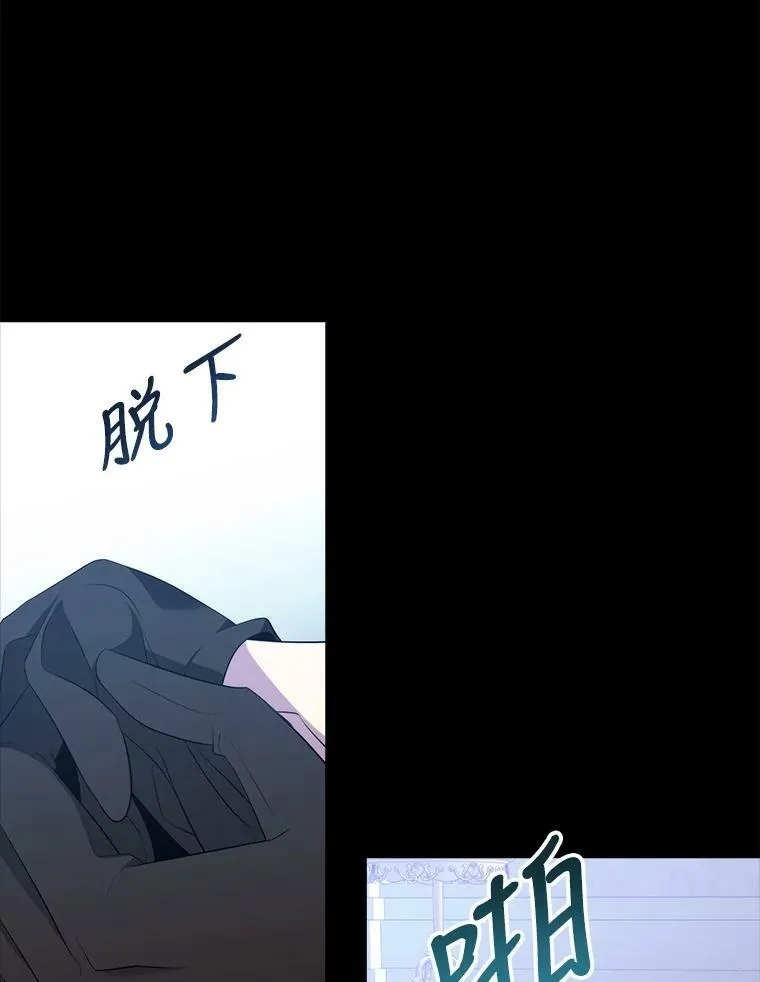 132.亮相 第66页