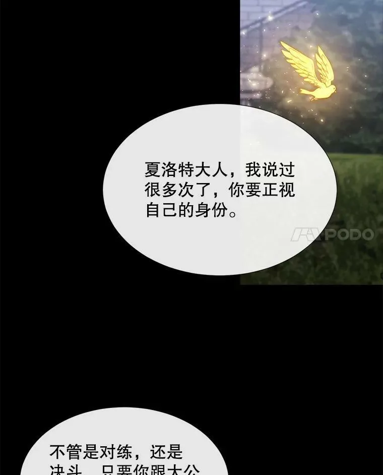 132.亮相 第78页