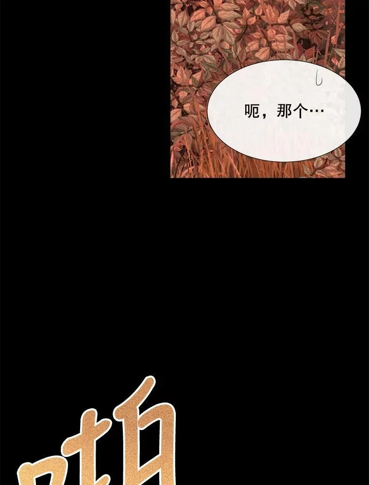 142.返回学院 第12页