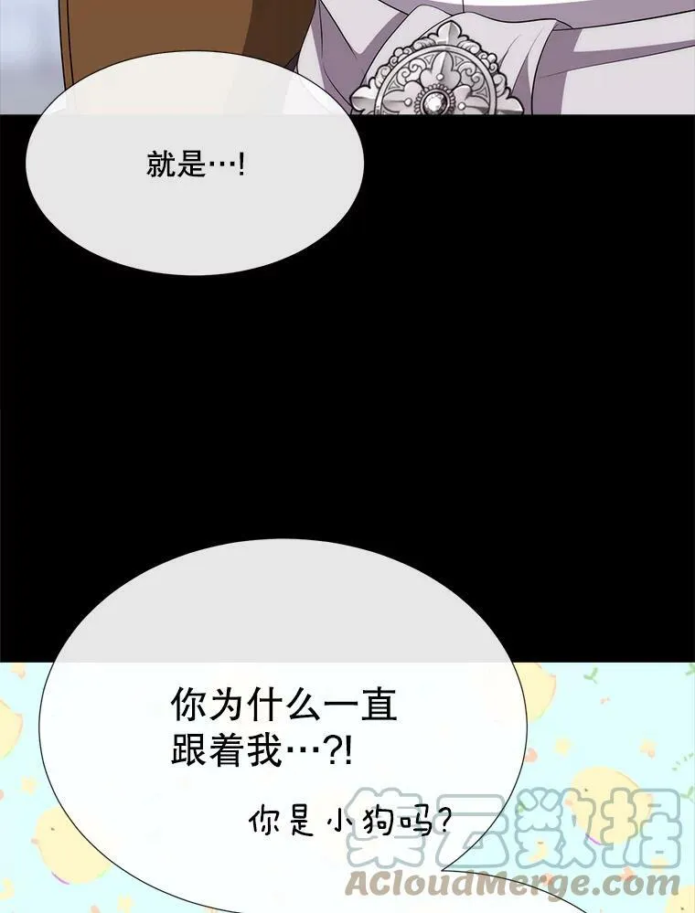 142.返回学院 第55页
