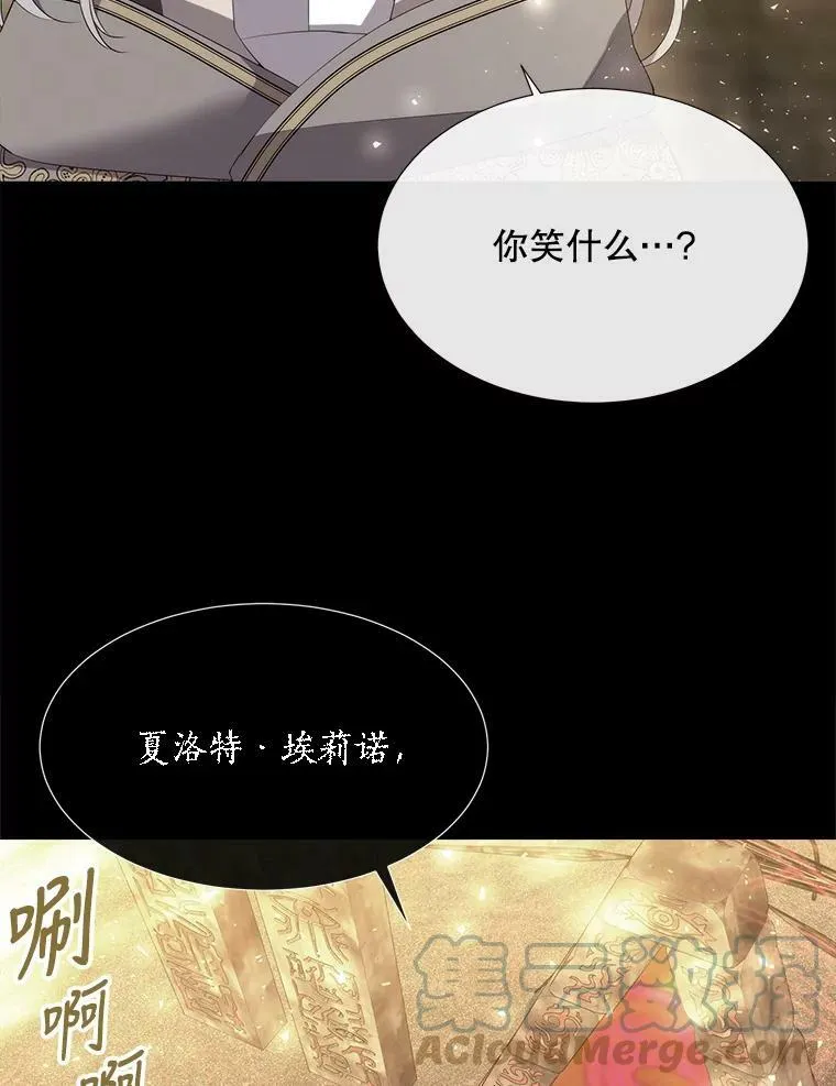 143.会议 第13页
