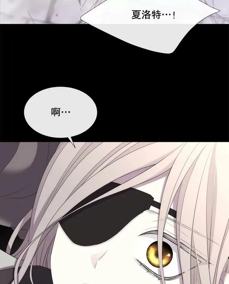 146.试探 第14页