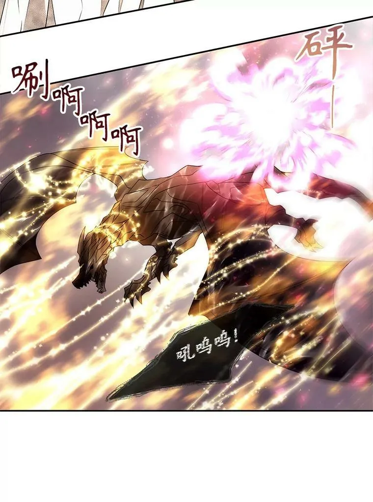 166.我决定的 第62页