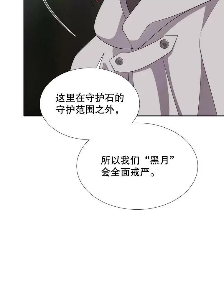 166.我决定的 第96页