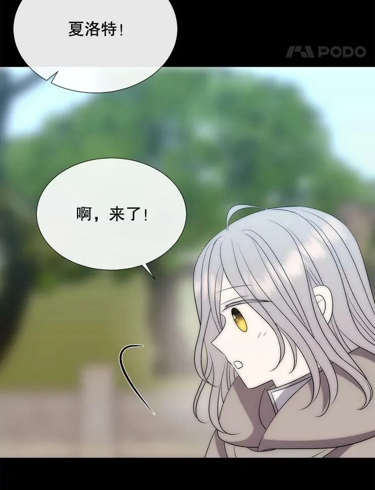 170.仪式空间 第14页
