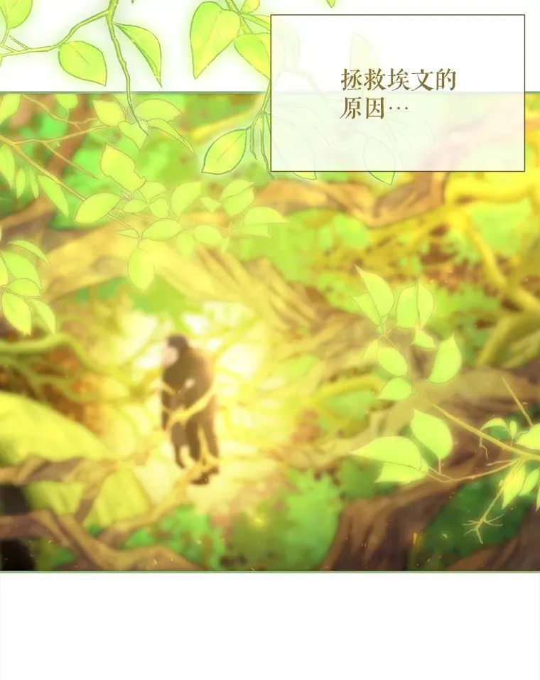 183.全新的力量 第48页
