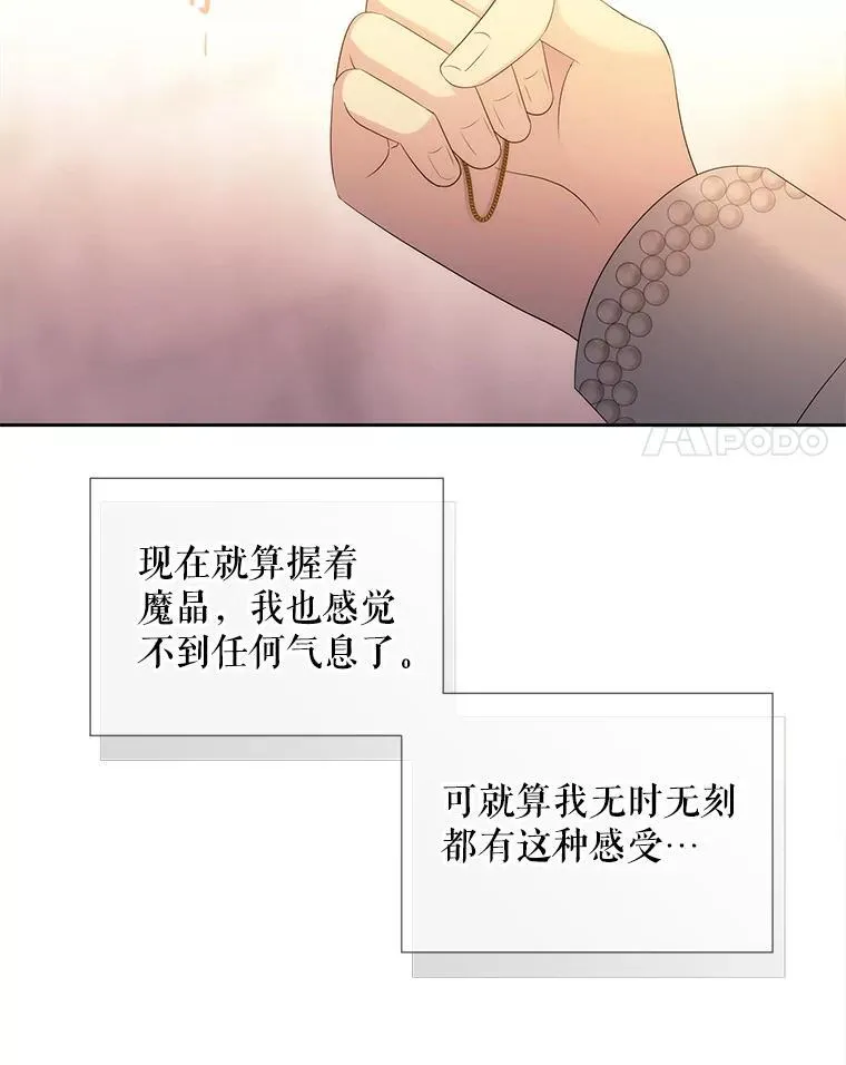 189.本源魔力 第47页