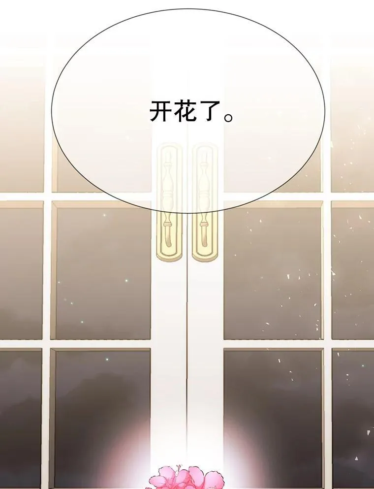201.红云似花 第3页