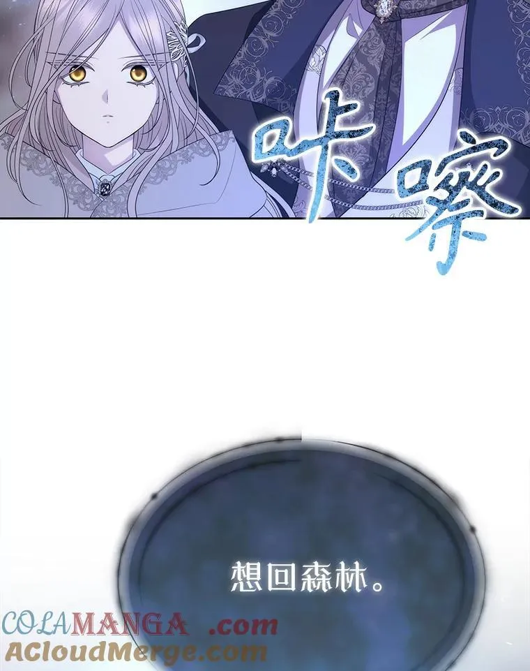 203.回归本初 第41页
