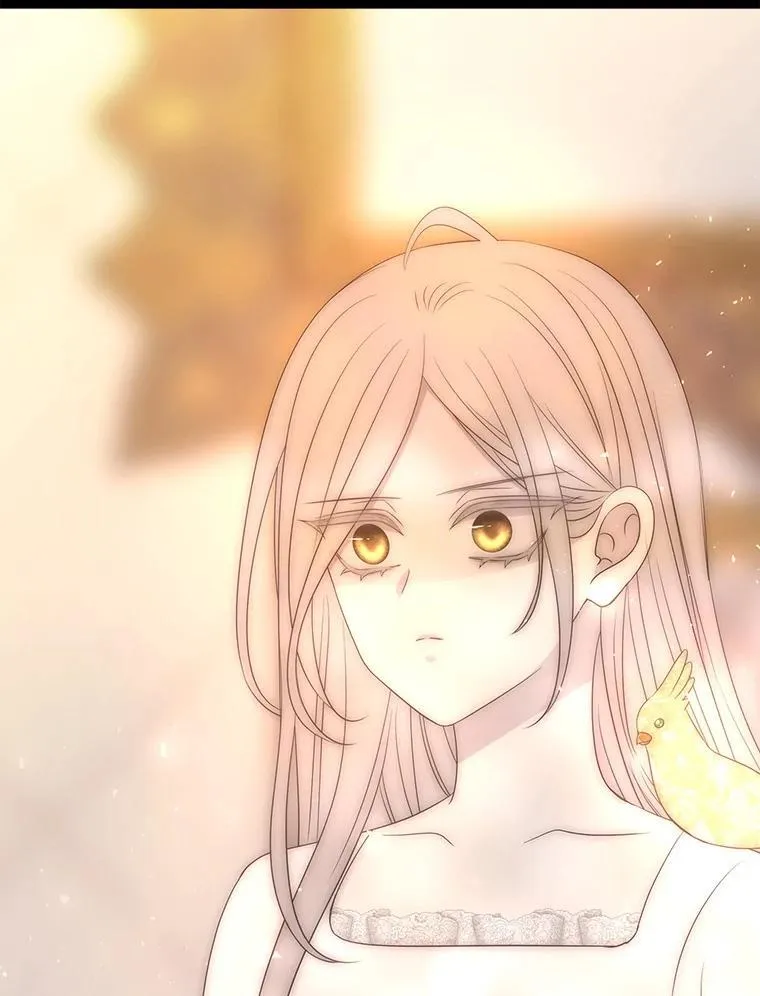 209.三角恋？ 第3页