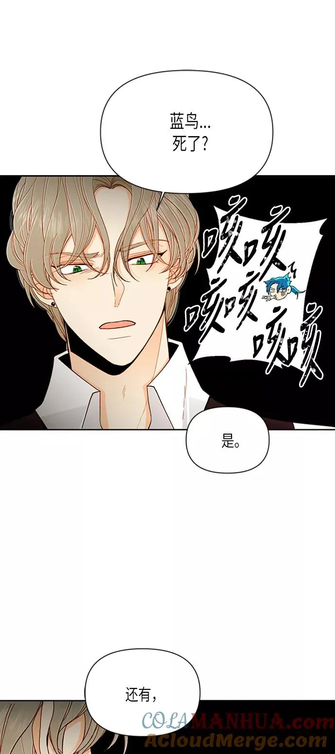 第67话 第41页