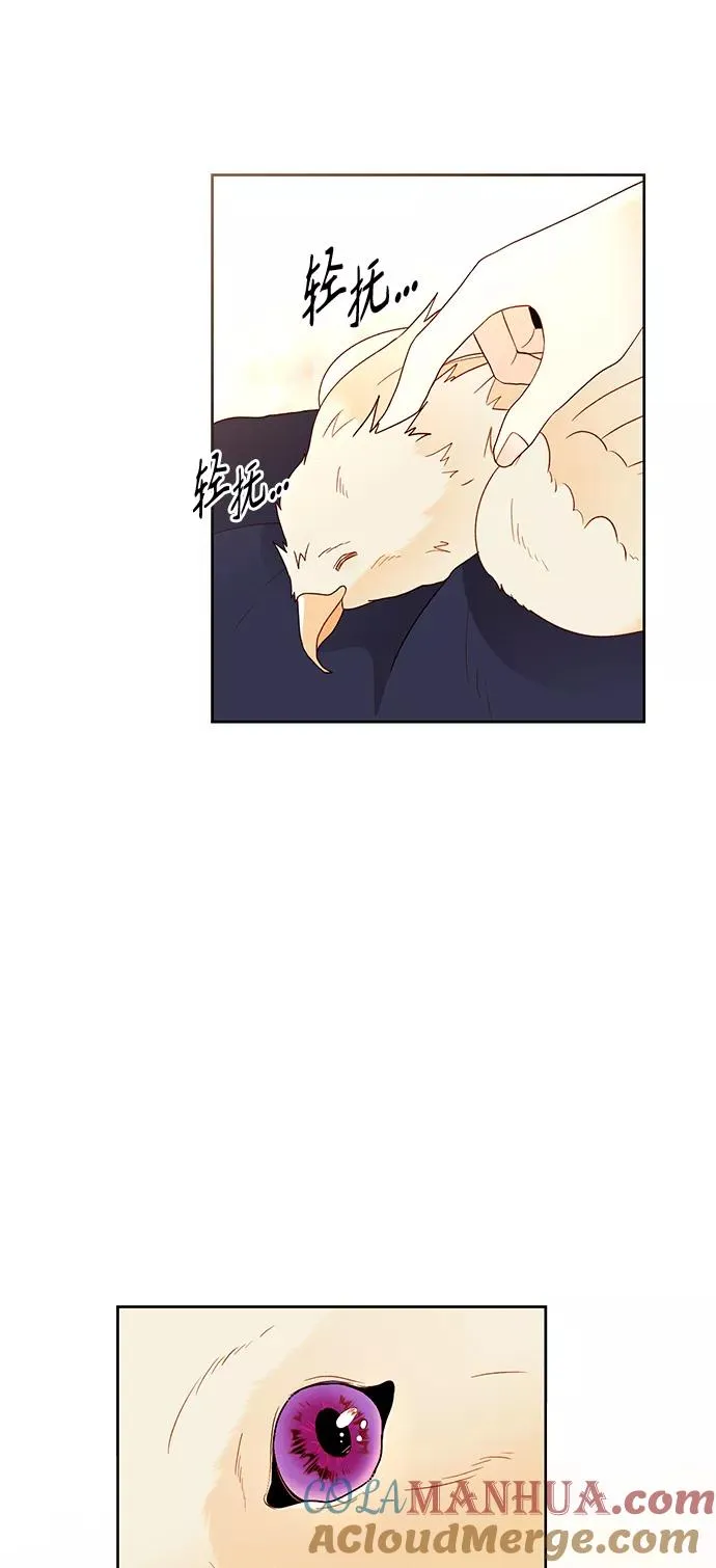 第78话 第4页