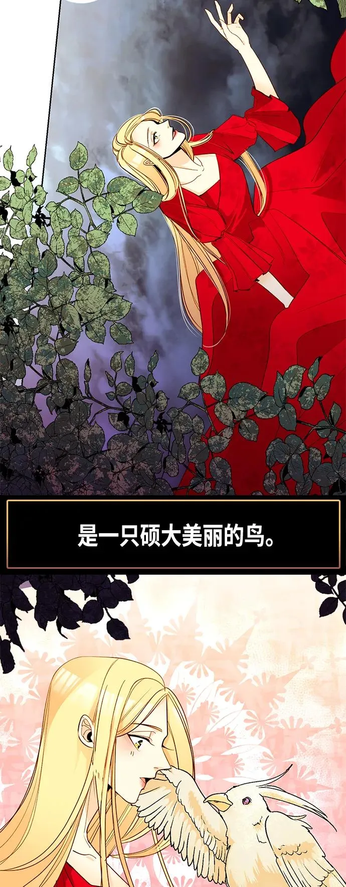 【免费】 特别篇（再婚皇后剧情回顾：从离婚到再婚） 第11页