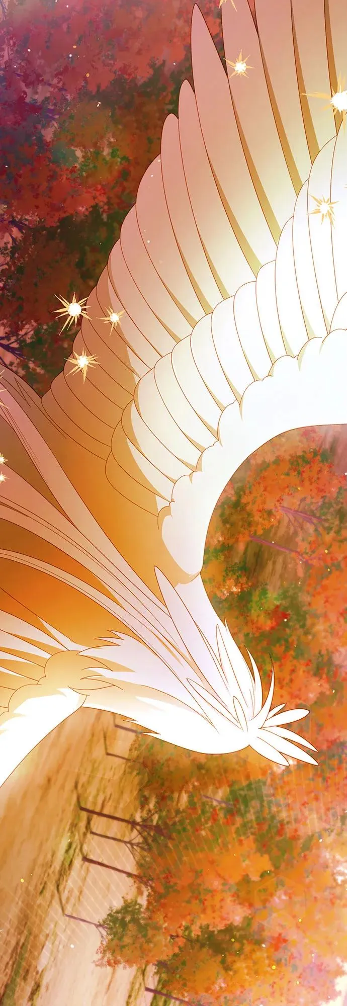 第214话 第24页