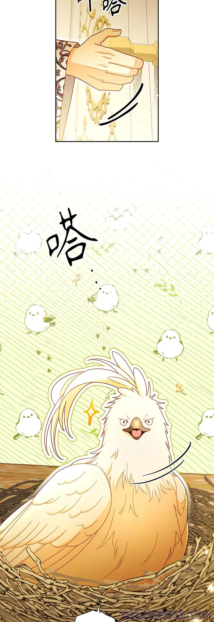 第224话 第13页
