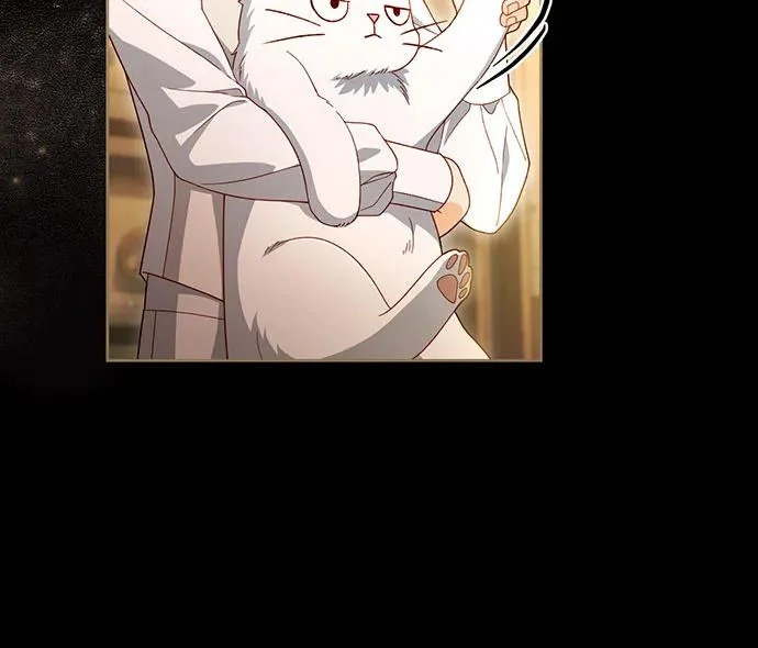 第241话 第21页
