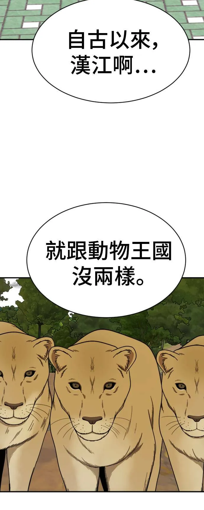 成乔彬 4 第4页