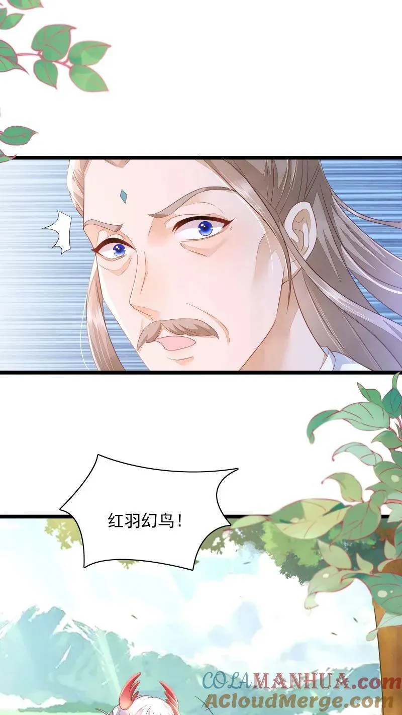 第5话 这破鸟想当我主人 第7页