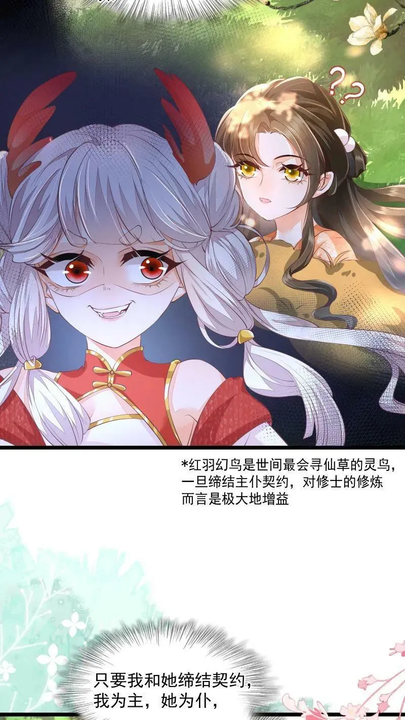 第5话 这破鸟想当我主人 第10页