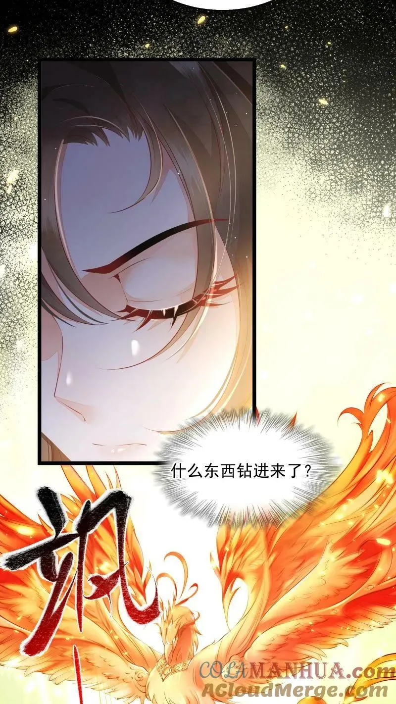 第5话 这破鸟想当我主人 第13页