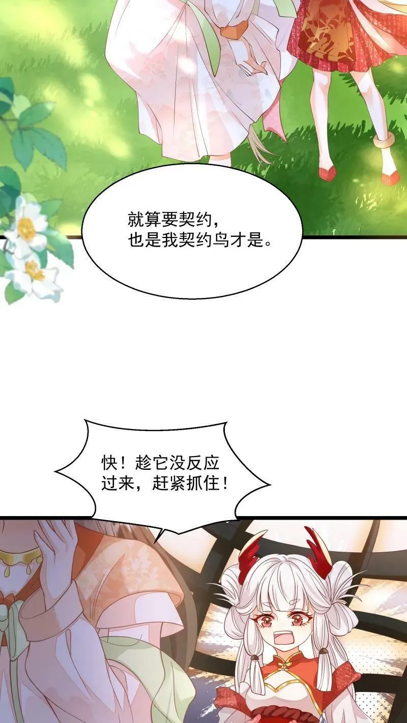 第5话 这破鸟想当我主人 第18页