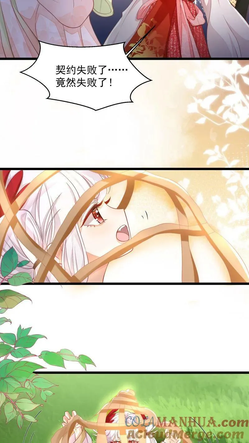 第5话 这破鸟想当我主人 第19页