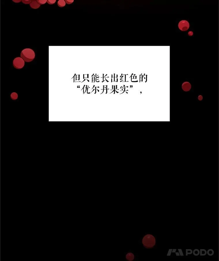 27.绮丽丹果实 第79页