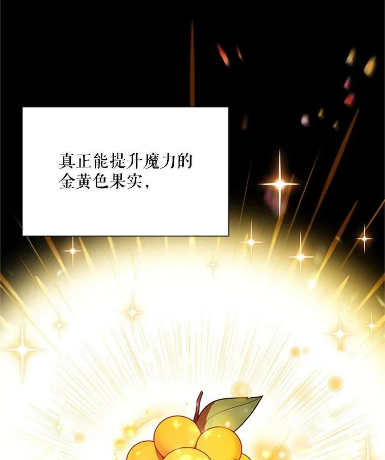 27.绮丽丹果实 第80页