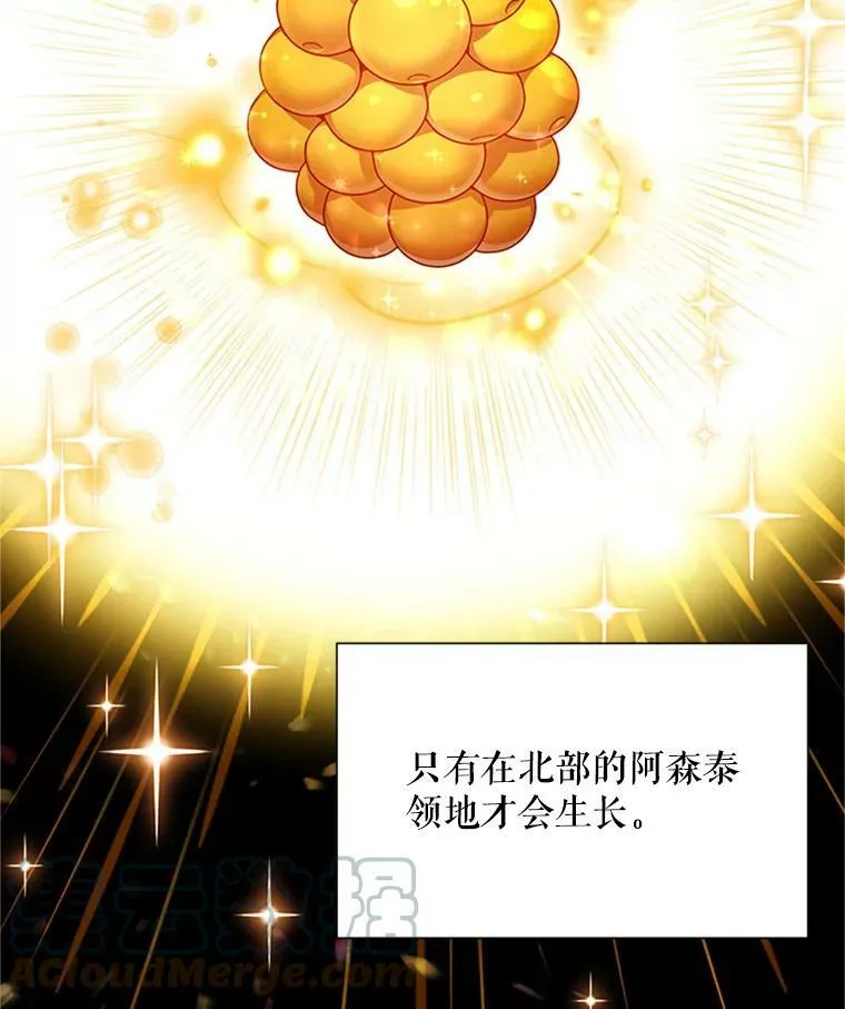 27.绮丽丹果实 第81页