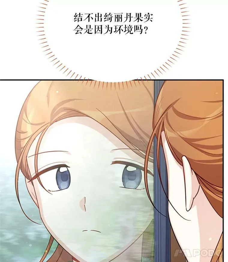 27.绮丽丹果实 第108页