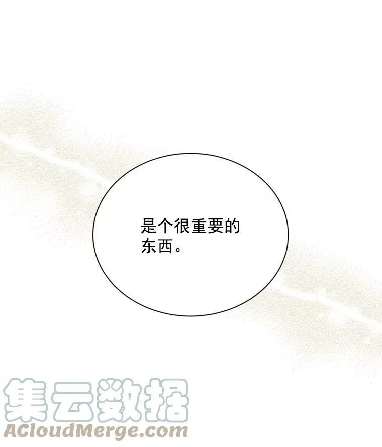 35.妈妈的胸针 第13页