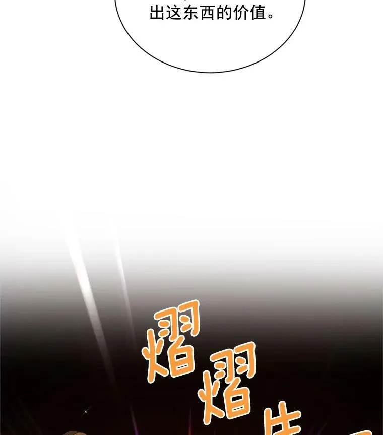 35.妈妈的胸针 第103页
