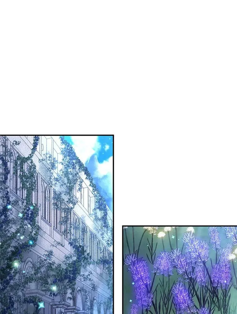 39.进入古魔法王国 第36页