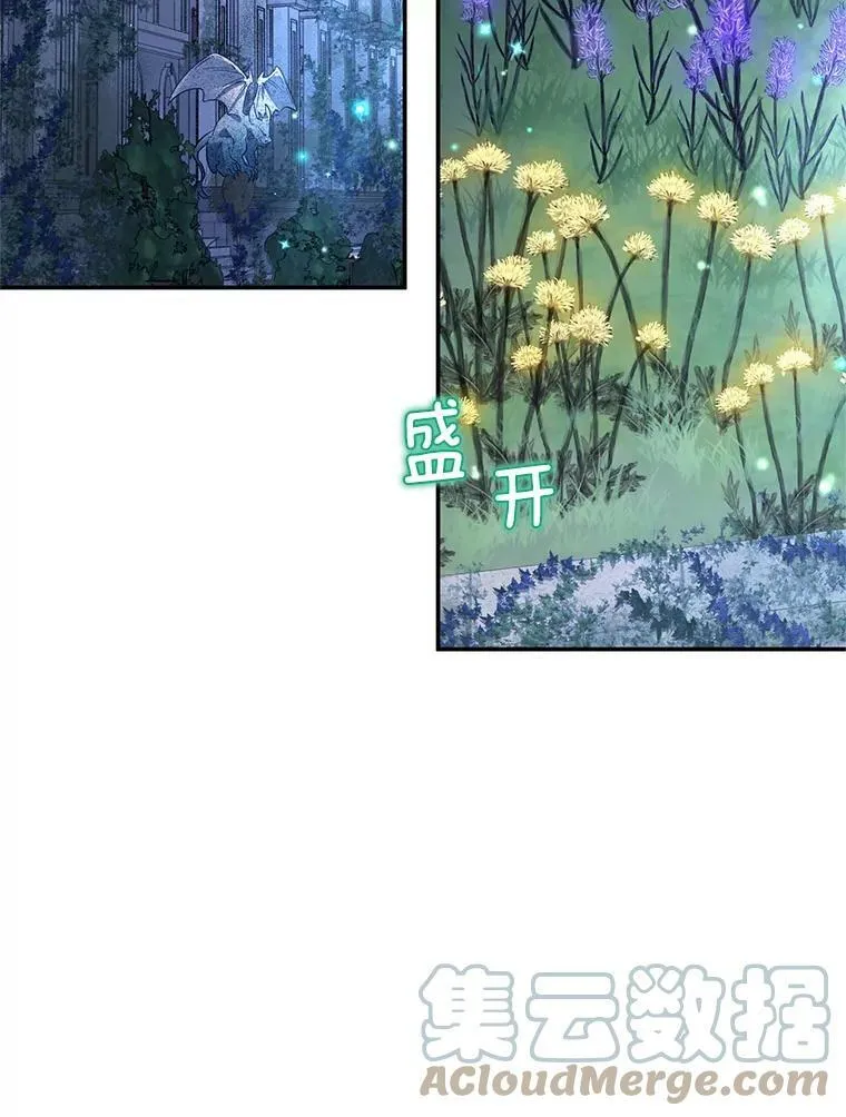 39.进入古魔法王国 第37页