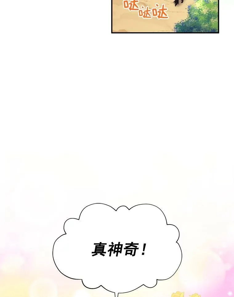 46.召唤神兽之王 第18页